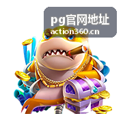 pg官网地址 行业合作峰会